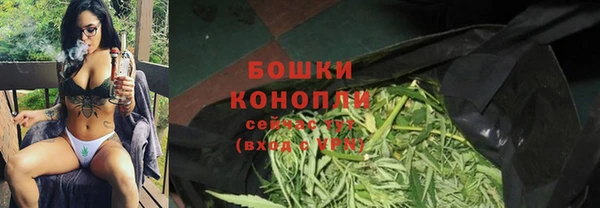 винт Карпинск