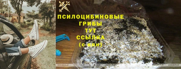 винт Карпинск