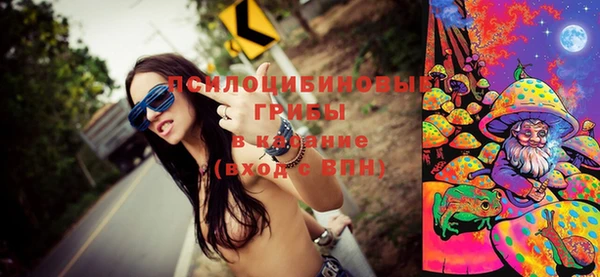 винт Карпинск