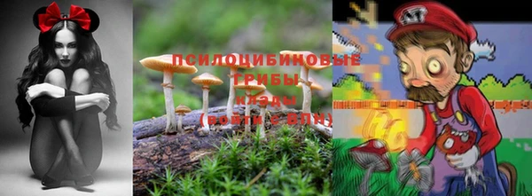бутират Касимов