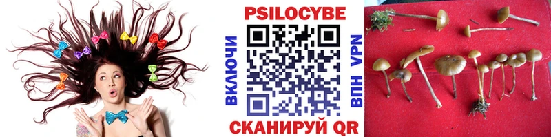 Галлюциногенные грибы мицелий  Купить закладки  Бутурлиновка 